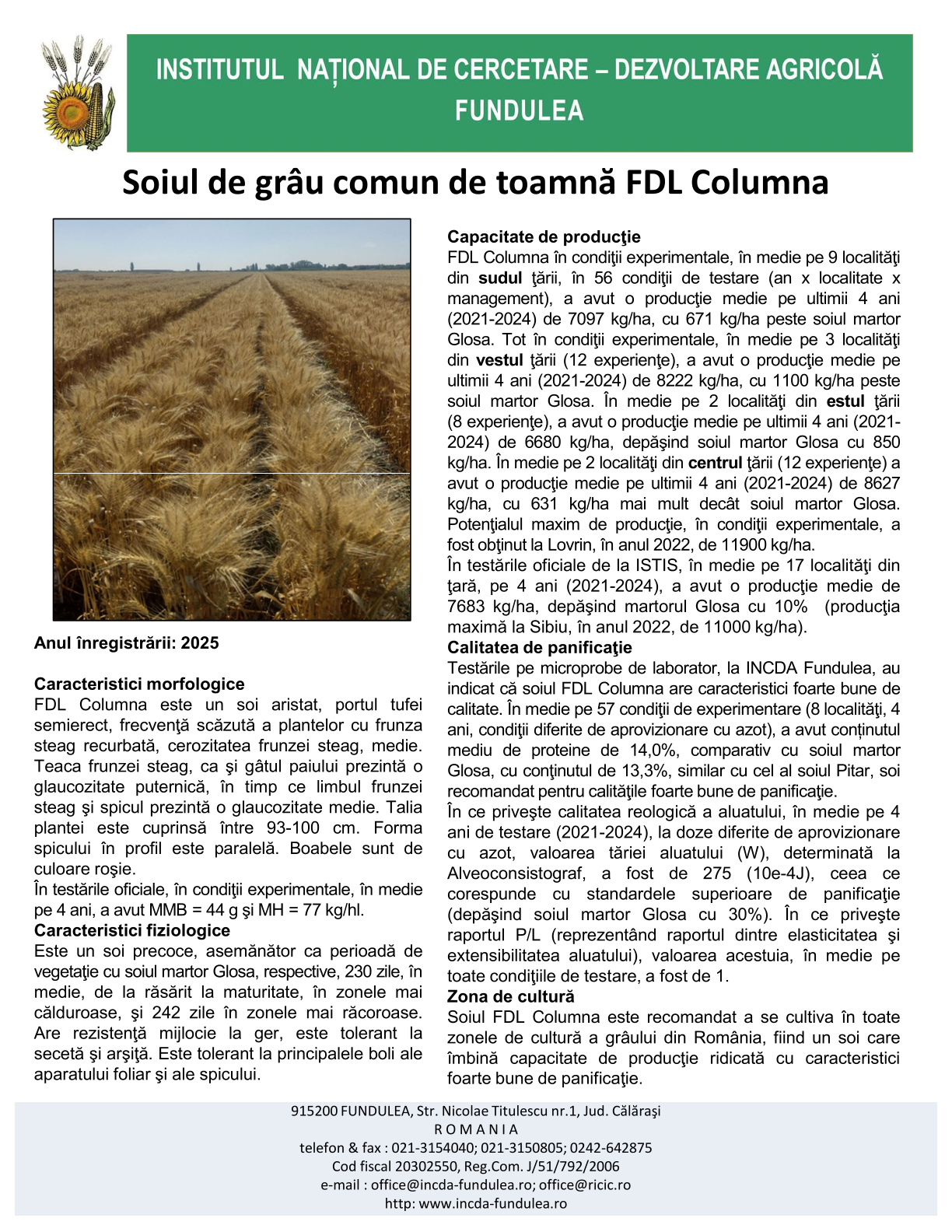 Columna