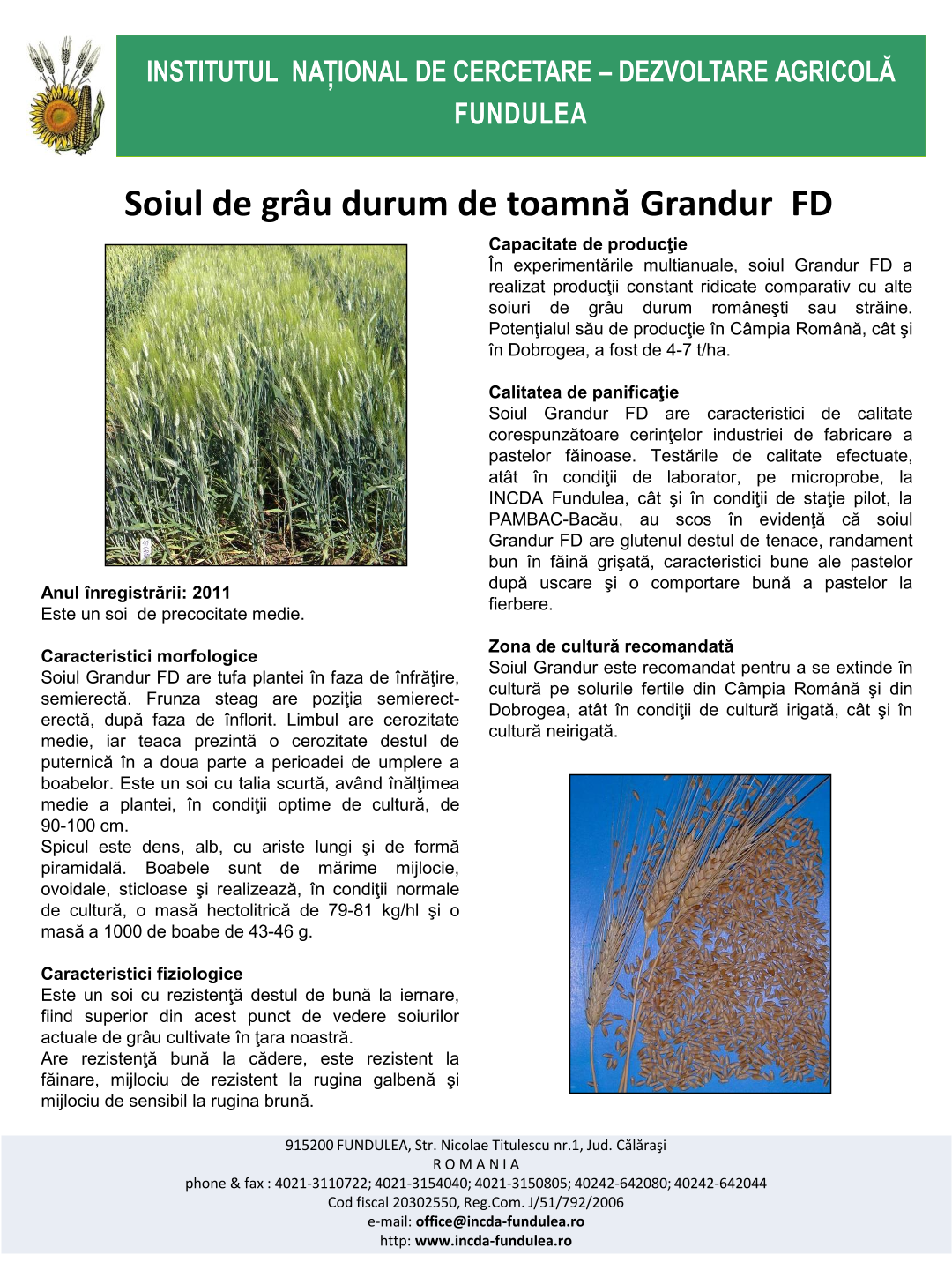 Grandur