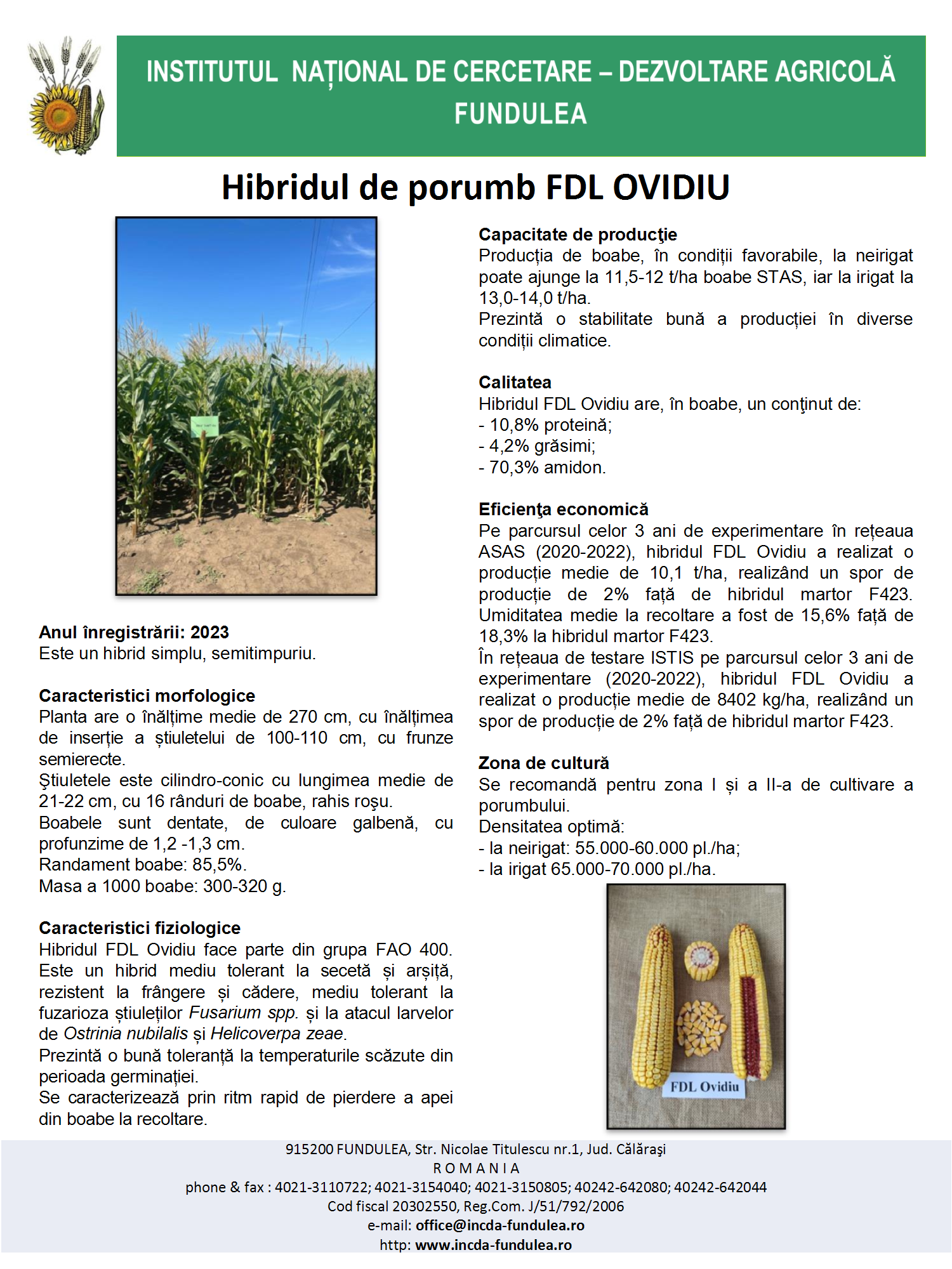 Ovidiu
